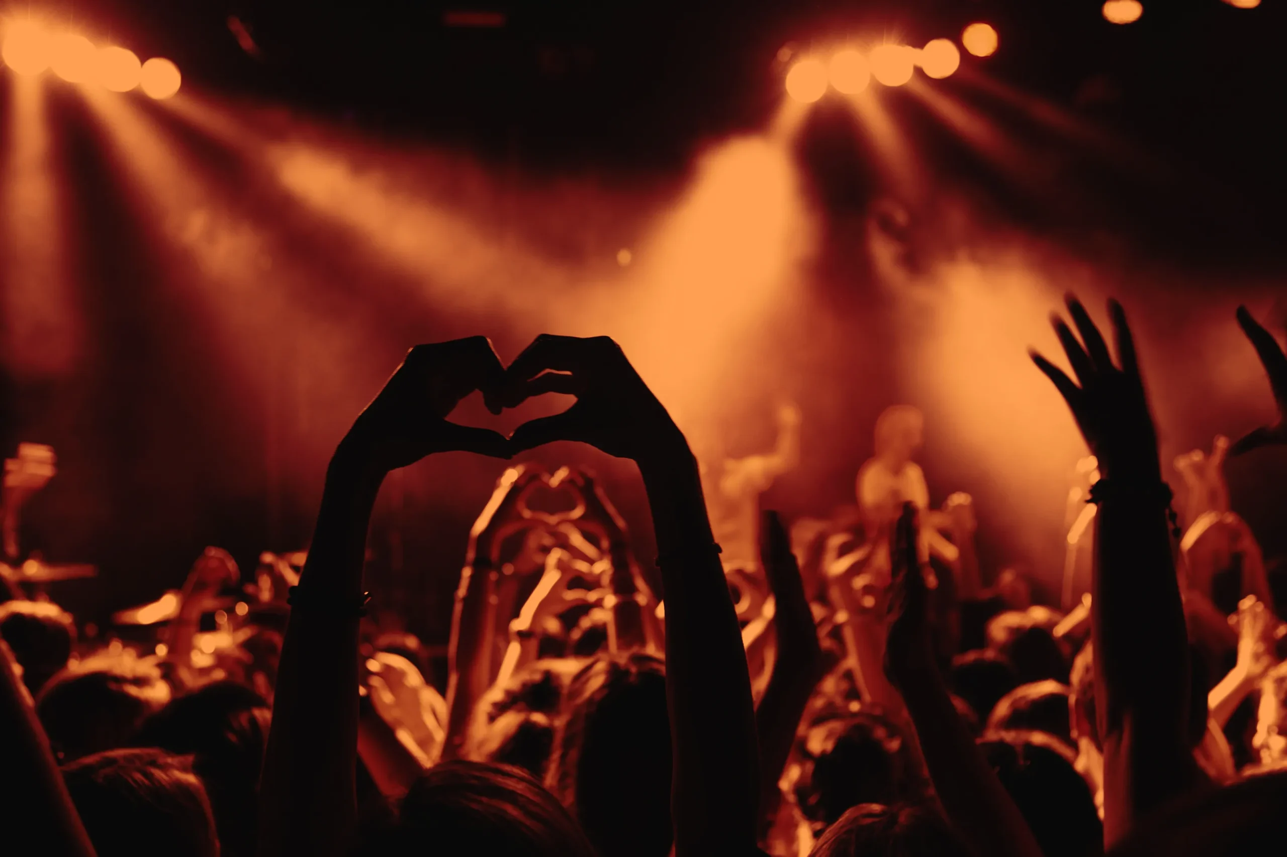 Black Tartan - Image - People at a concert